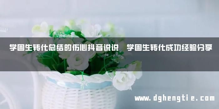 学困生转化总结的伤心抖音说说 学困生转化成功经验分享